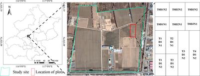 Application of APSIM model in winter wheat growth monitoring